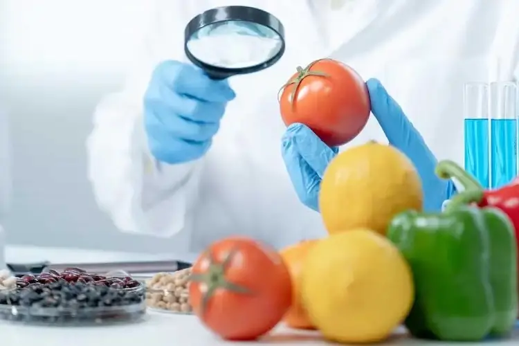 Magnifying glass on vegetables.