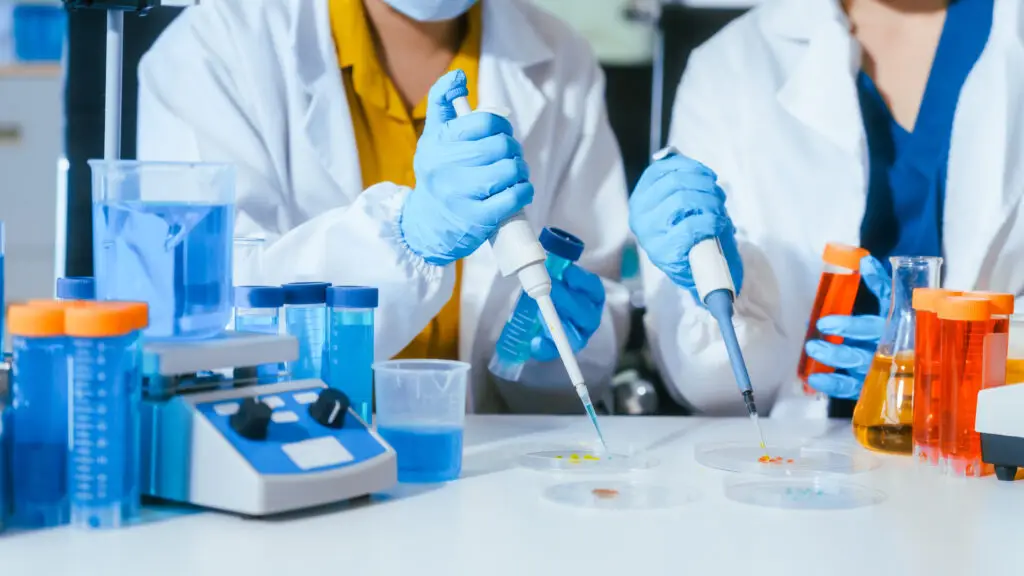 Two scientists in lab coats and gloves using pipettes and petri dishes with test tubes and equipment in a bright laboratory for medical research.